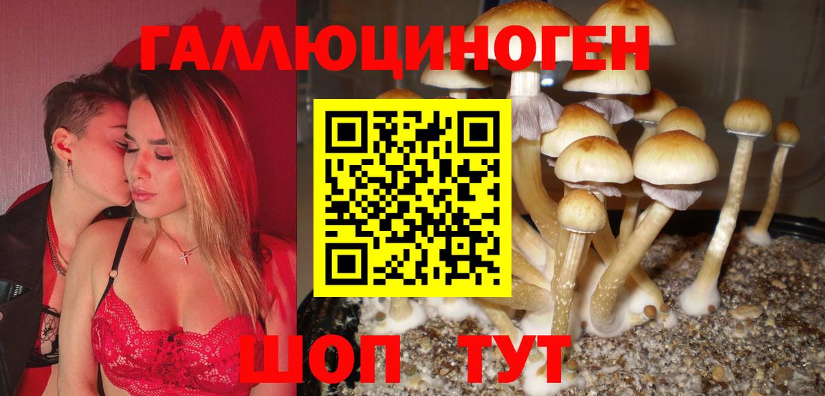 Псилоцибиновые грибы мицелий Заринск