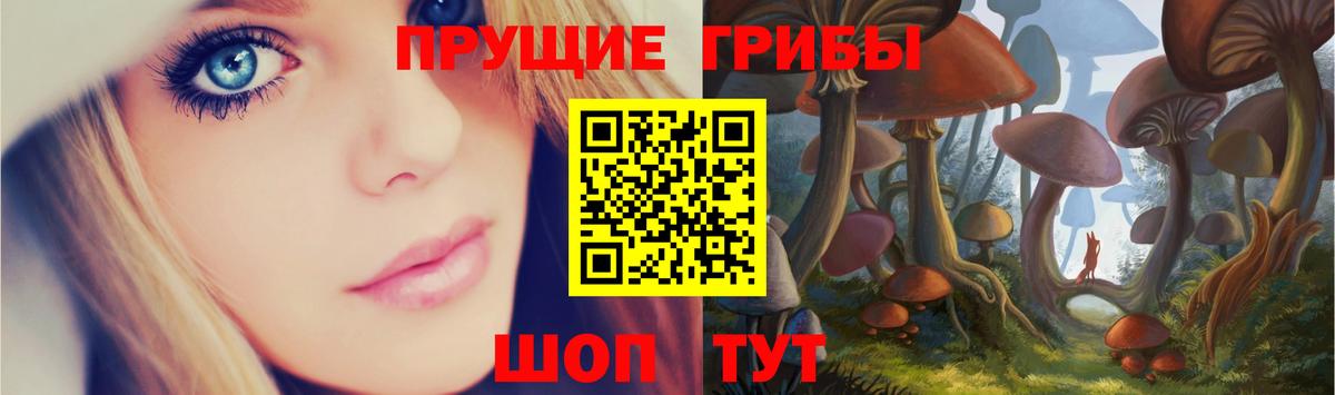 Галлюциногенные грибы мицелий  Вход с VPN  Заринск 